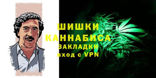 Альфа ПВП Аркадак