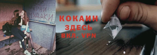 Альфа ПВП Аркадак