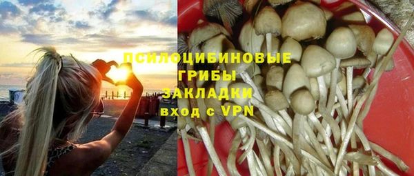кокс Арсеньев